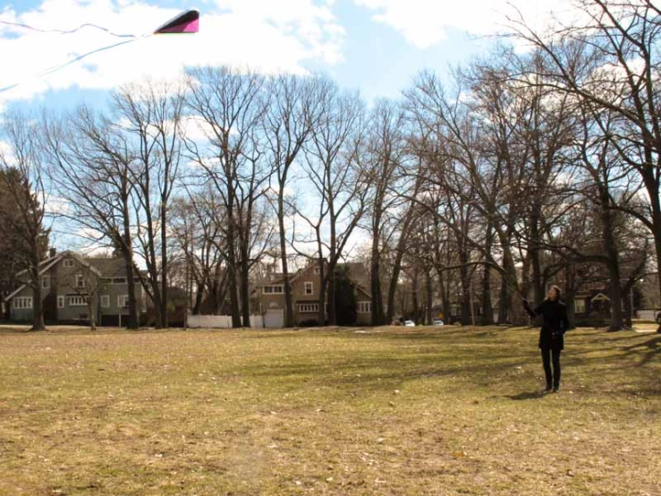 a person is flying a kite in a park