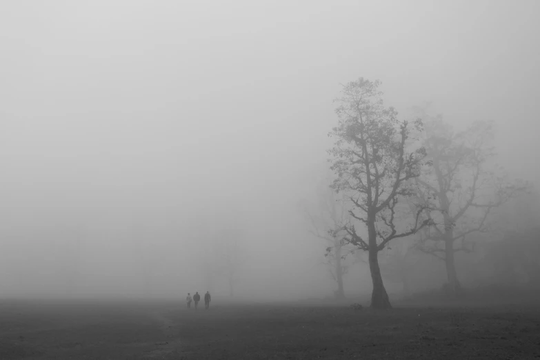 a misty, foggy field with trees and people walking by