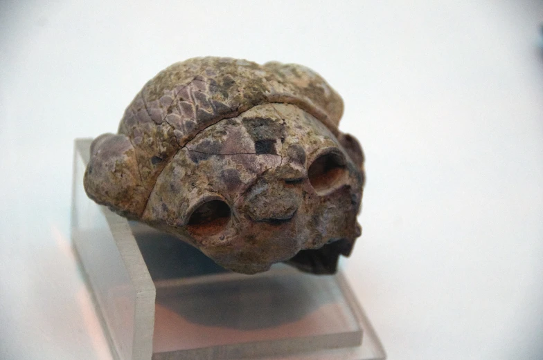 a rock with holes in it is on display