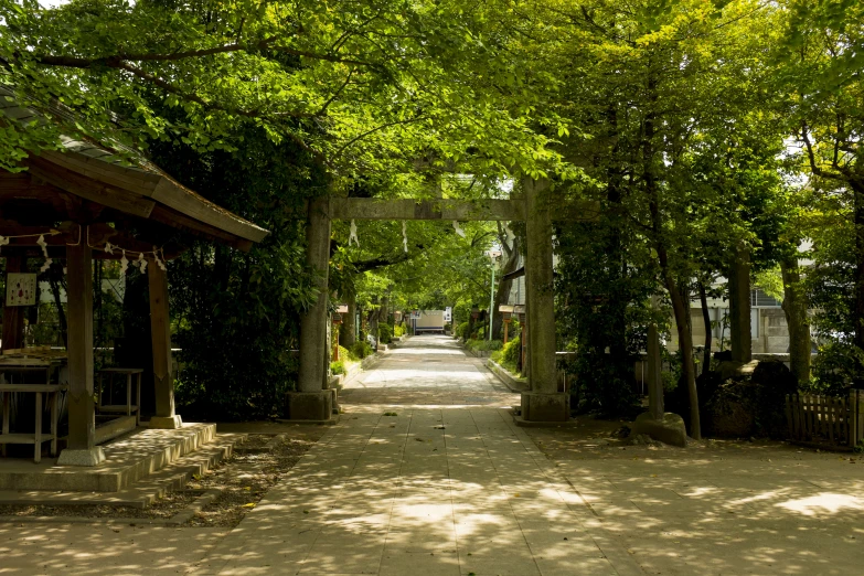 the pathway has no cars and is surrounded by greenery