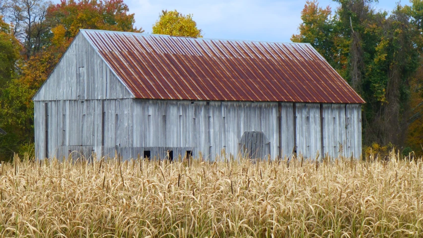 an old abandoned, weathered barn sitting out side on a farm