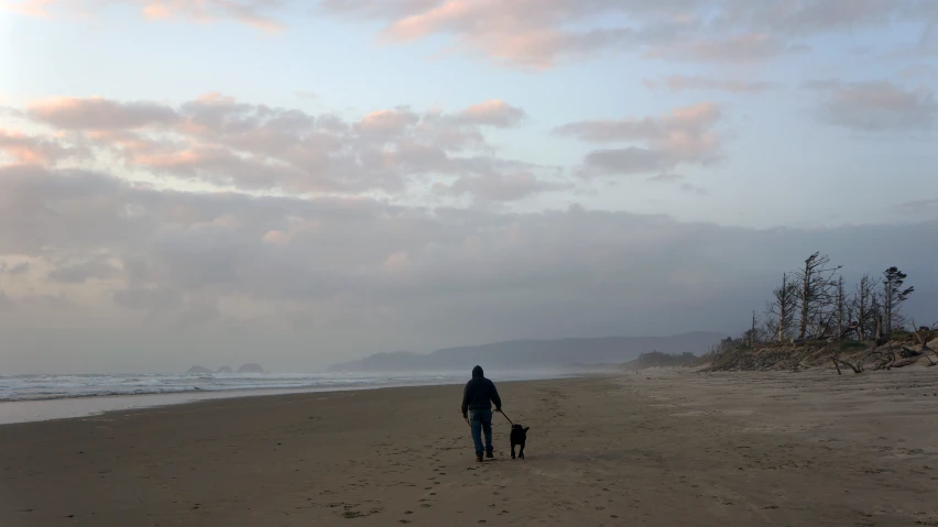 a person walking on a beach with a dog