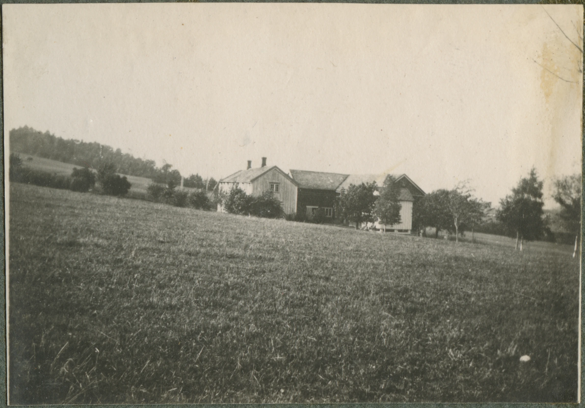 the house is on the hill behind the cows