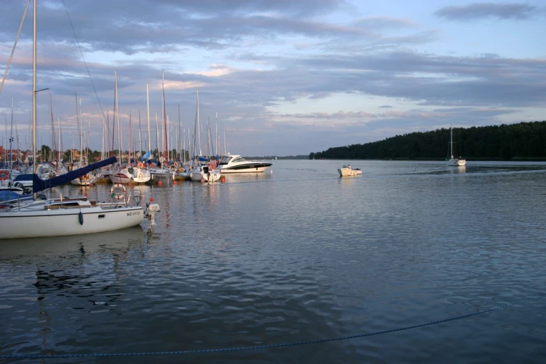 boats docked in a harbor full of water and trees