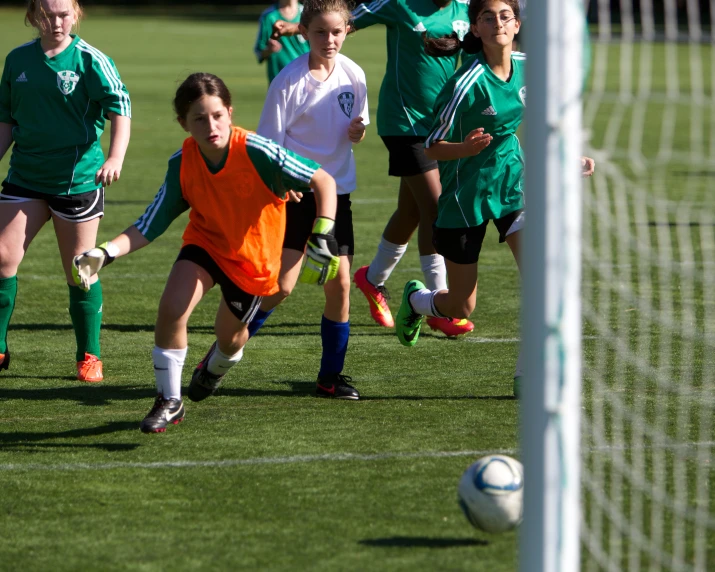 the girls are kicking the soccer ball around the goal