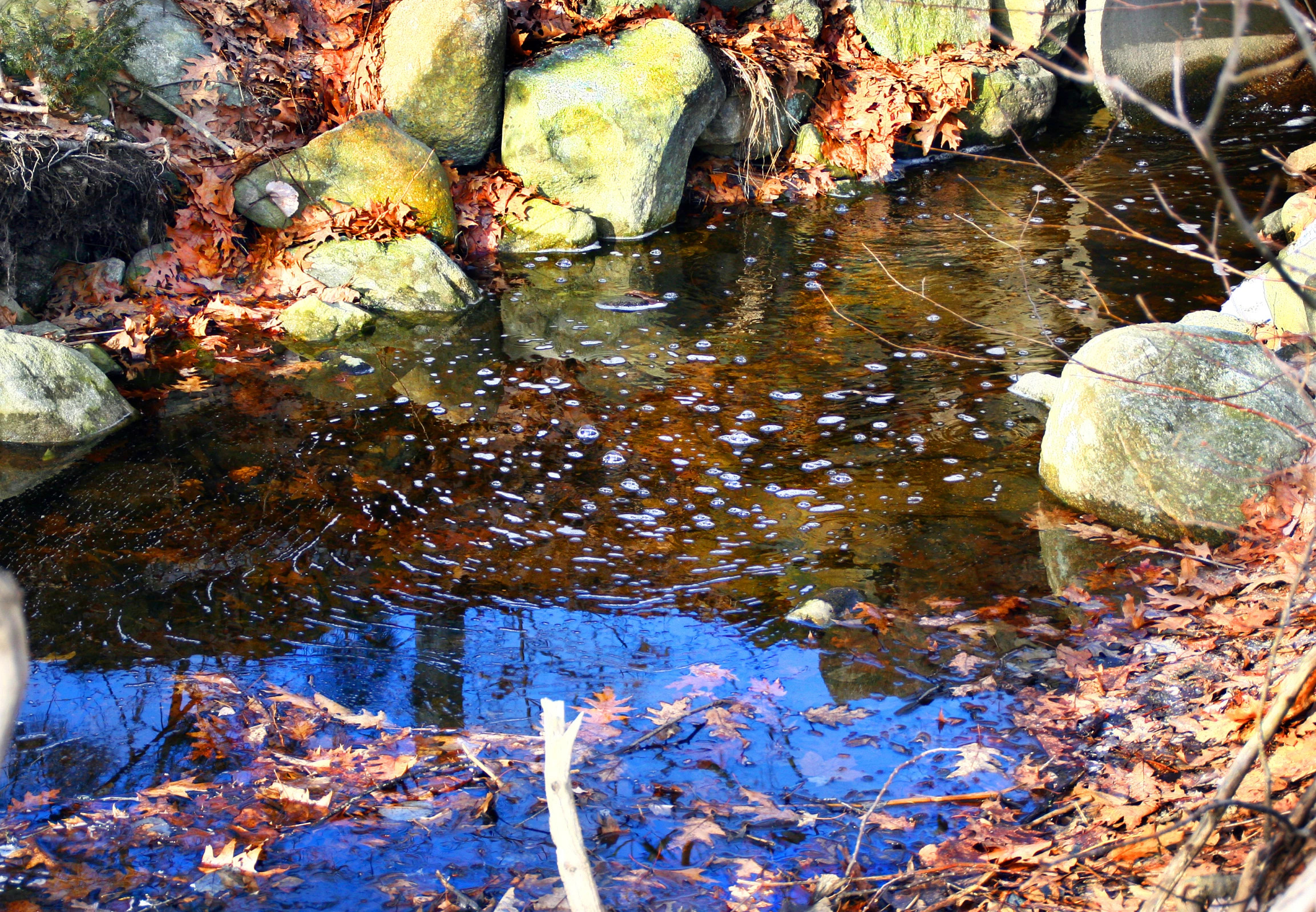 a stream is running through an area covered in rocks