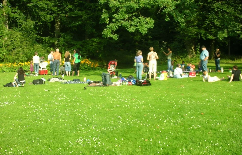 a bunch of people on some grass and flowers
