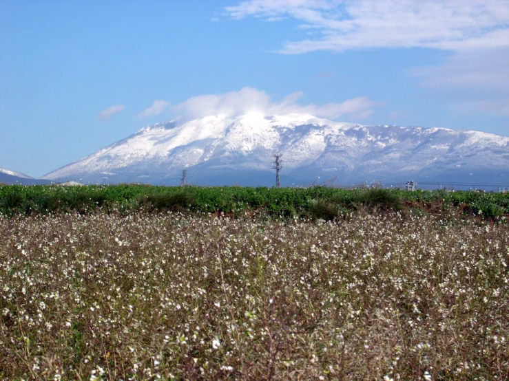 snowy mountain covered with a patch of snow