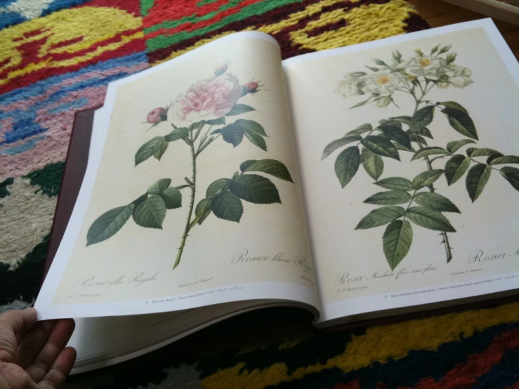 a book opened with flowers on it, next to some carpet