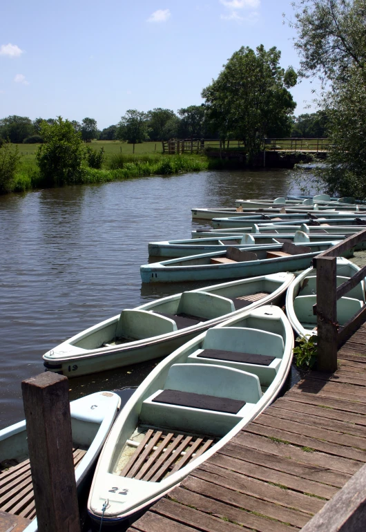 canoes and paddle boats lined up at the shore