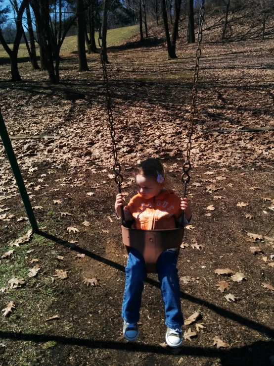 little boy playing on a swing with leaves around him