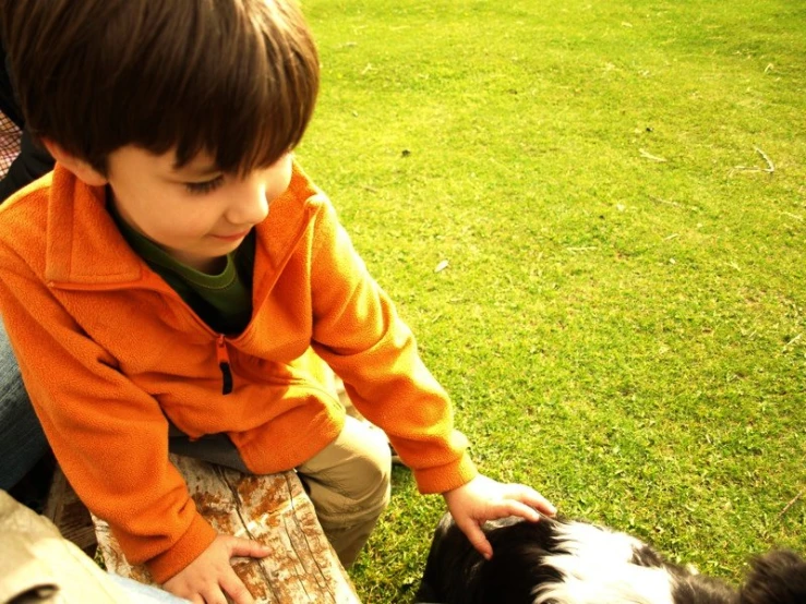 a little boy is playing with a dog