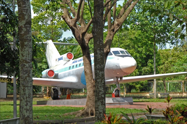 a white plane is sitting in the grass near a tree
