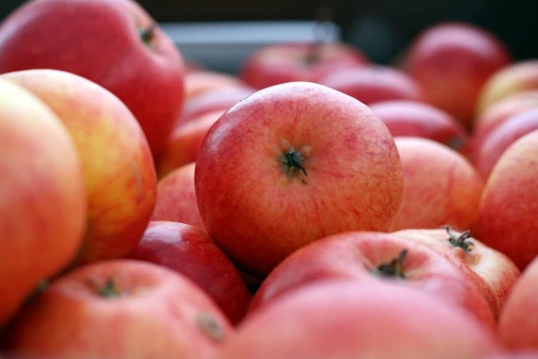 a pile of red apples laying next to each other