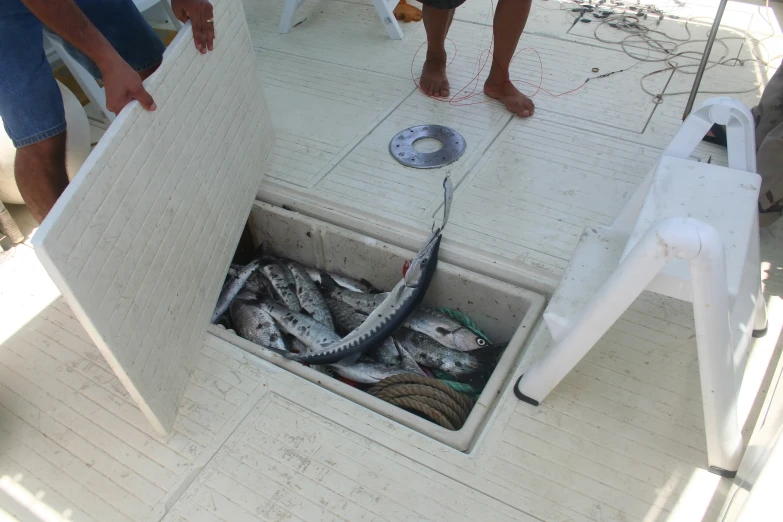 fish on fishing nets being cleaned off by two people