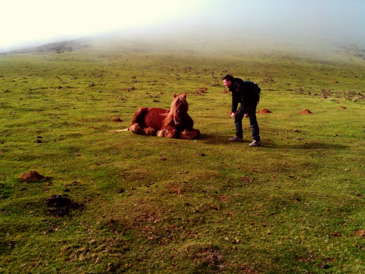 the man is standing next to a brown horse