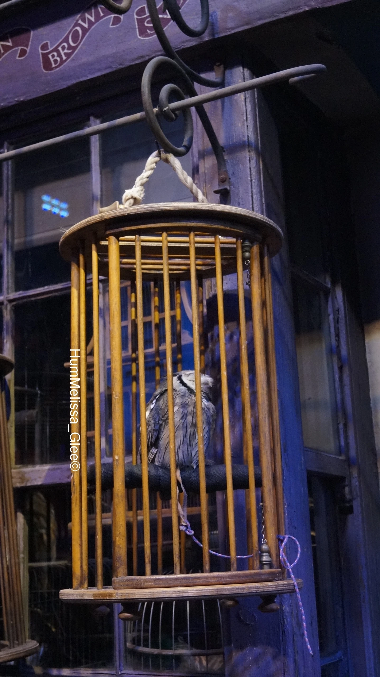 a large bird is inside of a cage