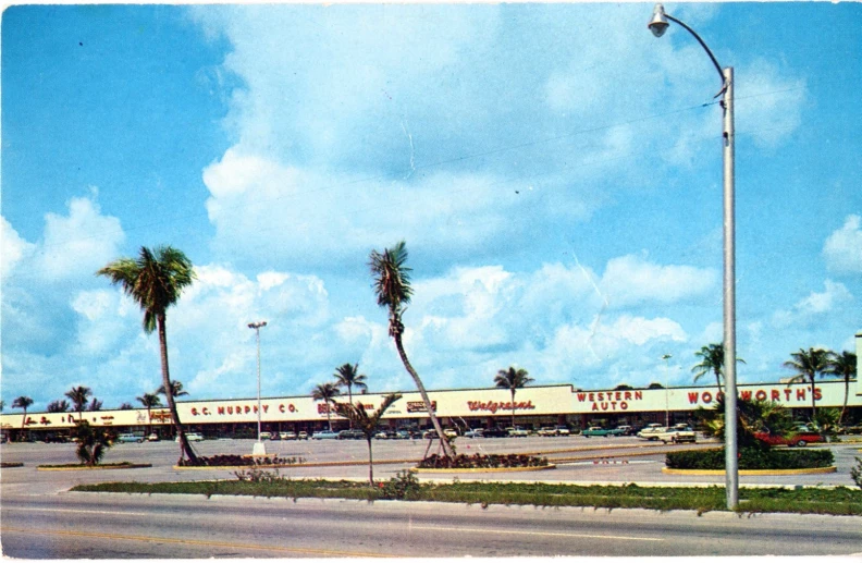 a street with buildings and palm trees next to it