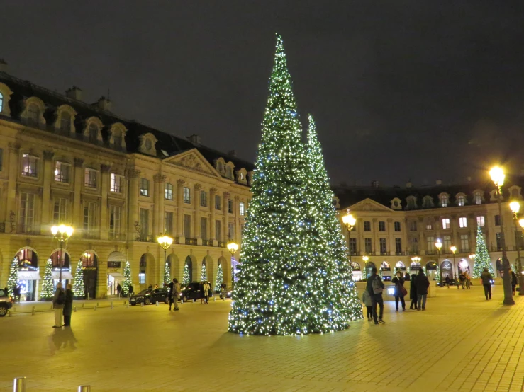 a large tree sits in the middle of the square