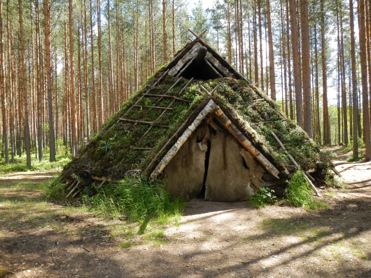 a small house with a grass roof that has vines growing on it