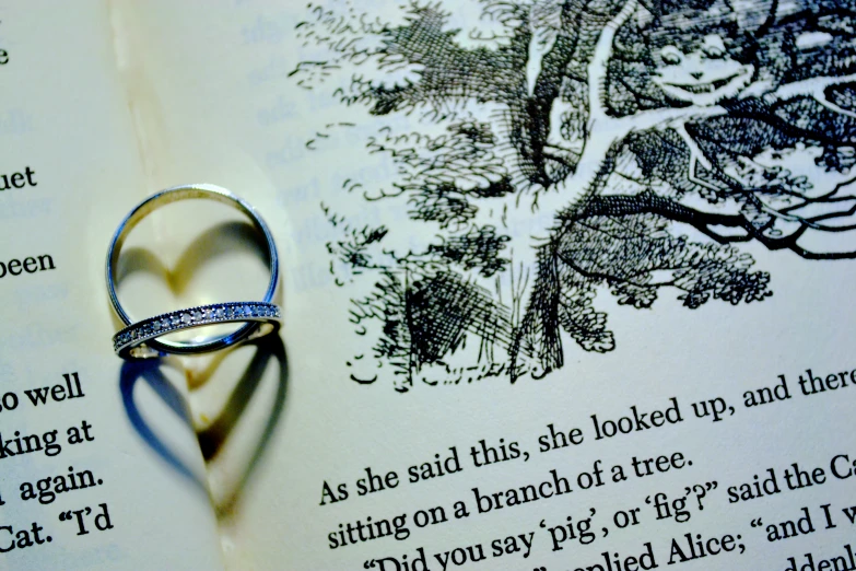 a book with an illustration of a heart shaped diamond ring on it