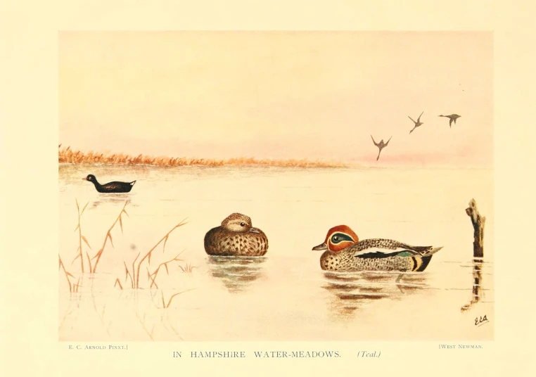 a painting of a duck with another duck sitting on the water