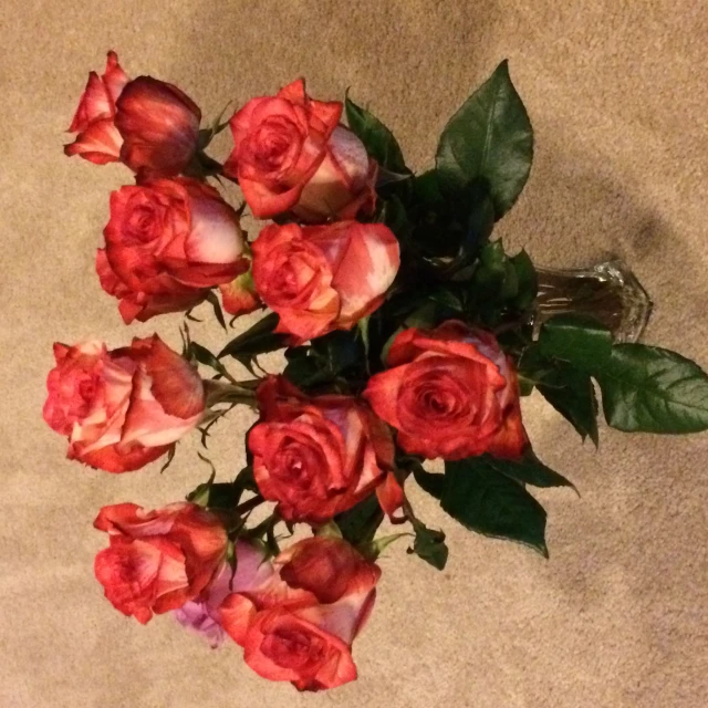 a bunch of roses that are sitting in a vase