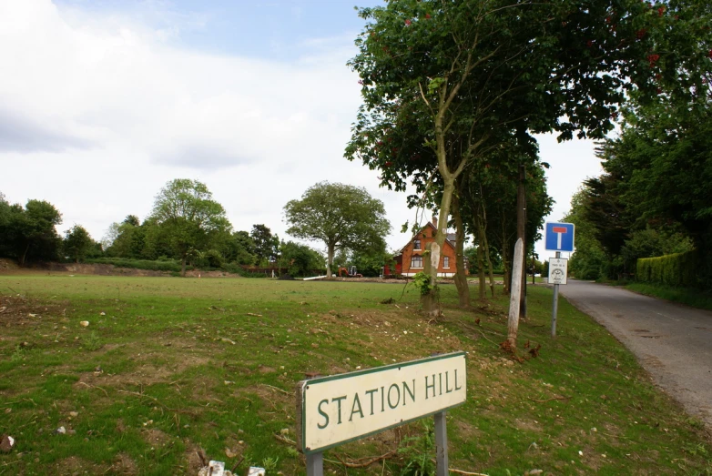 a street sign is displayed in the grass