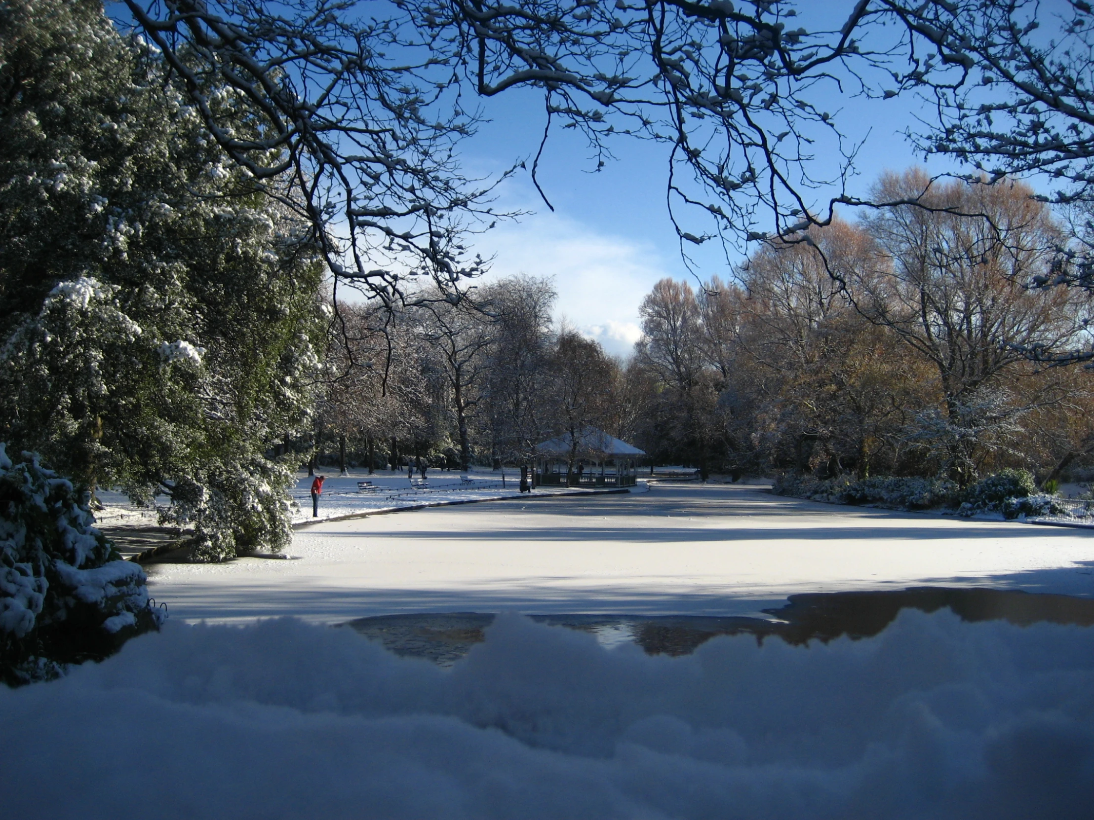 snowy park with trees and snow and a bench