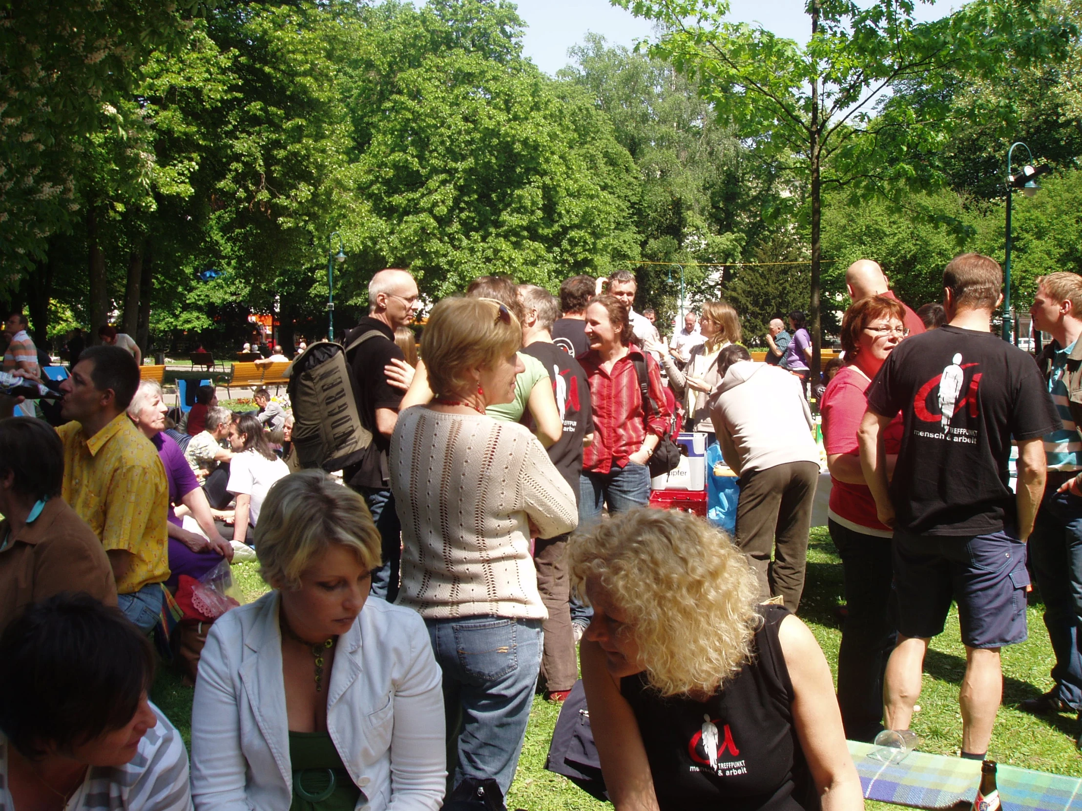 a crowd is gathered at the park in the afternoon