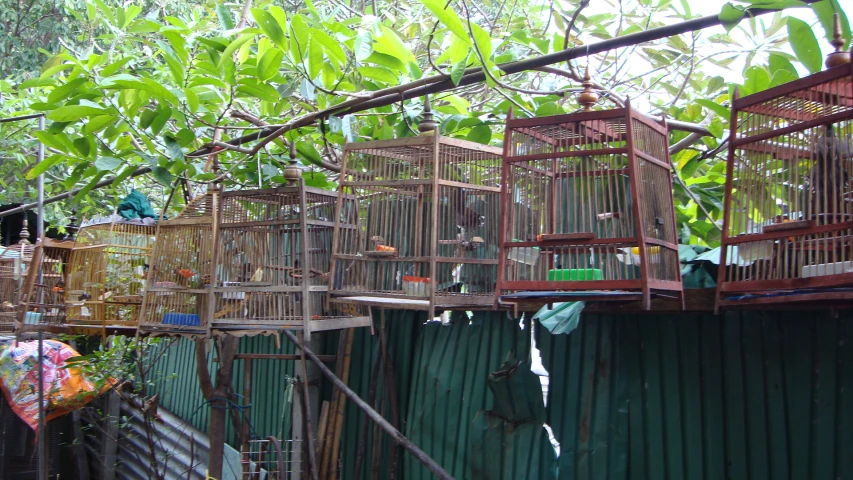 several cages in the shade of some trees