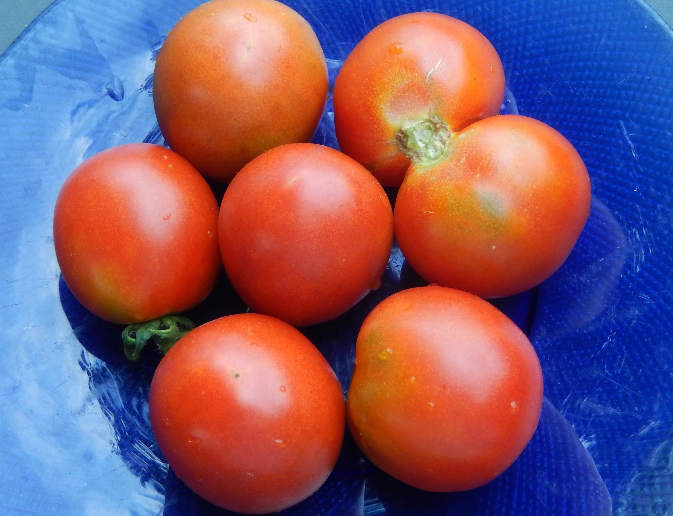 a group of eight tomatoes laying on top of each other