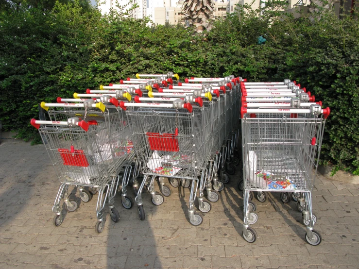 several shopping carts lined up in front of bushes