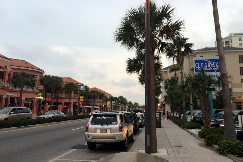 a palm tree leaning on the pole in front of cars