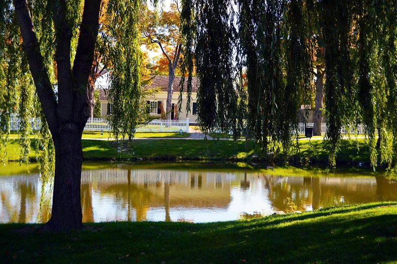 a lake surrounded by trees in the middle of a park