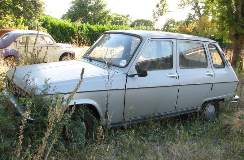 a small car parked in a field near a tree