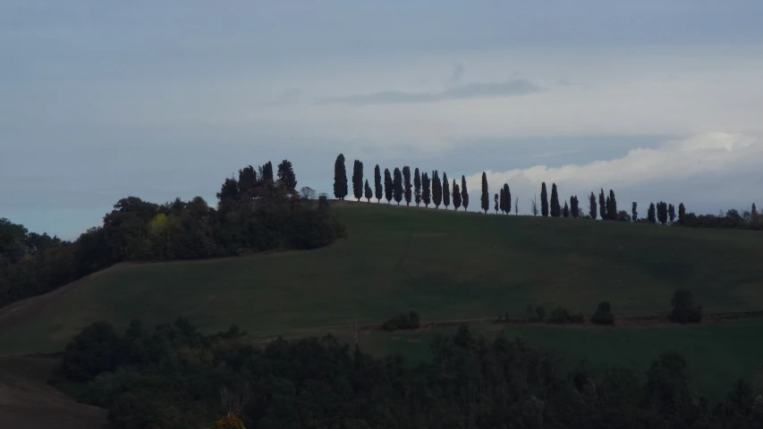 the view of trees on top of the hill