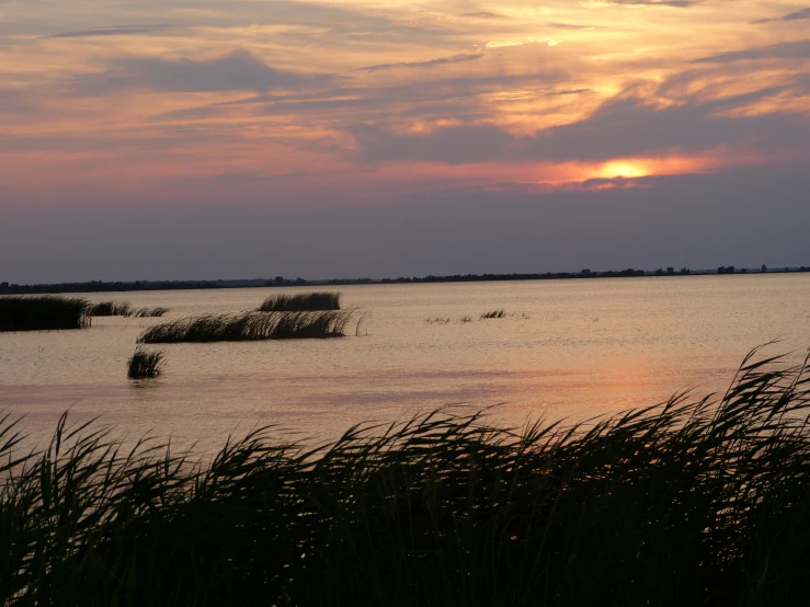 a view of a sunset over the water from some marsh