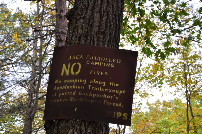 a sign posted on the side of a tree