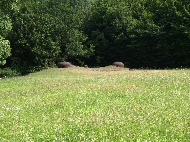 two large objects resting in the middle of a grassy field