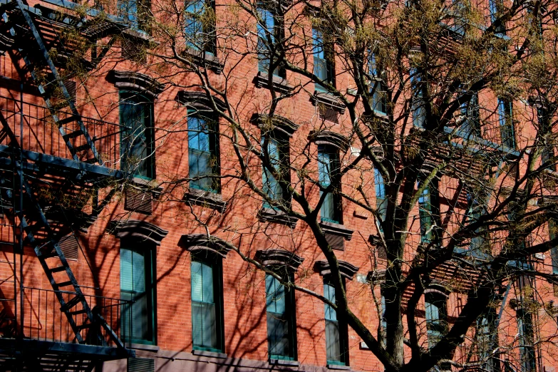 a very tall tree sitting by a big brick building