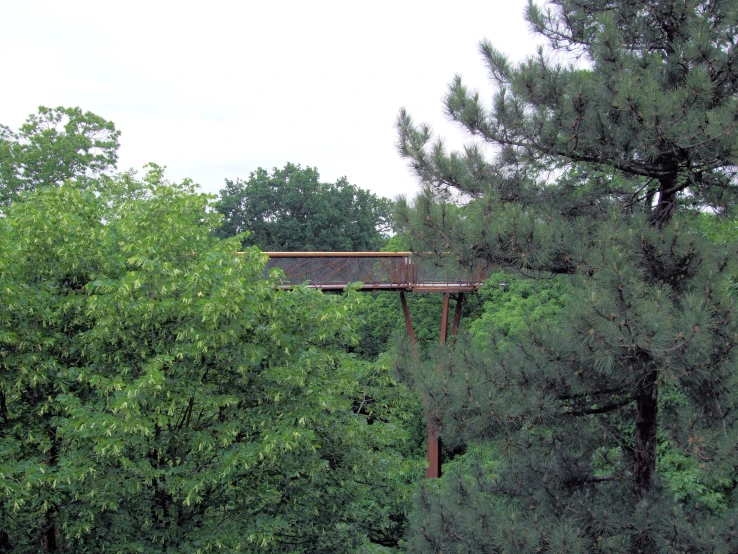 a bridge over a wooded area next to a road