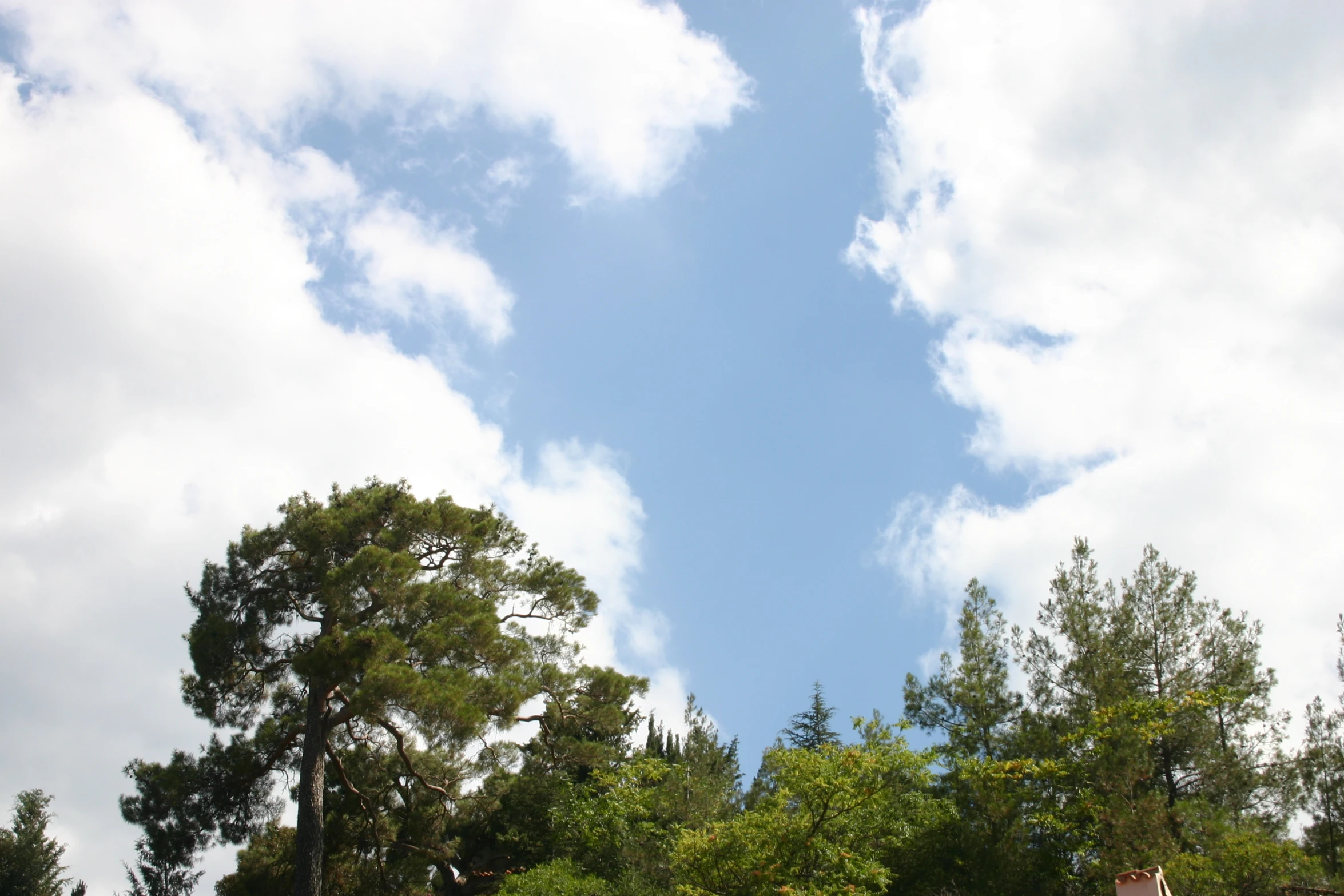 a very tall kite flying through the sky