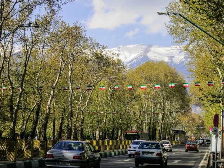 cars on a street near a forest with mountains in the background