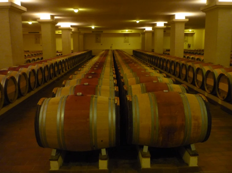 barrels lined up in a cellar to be filled with wine