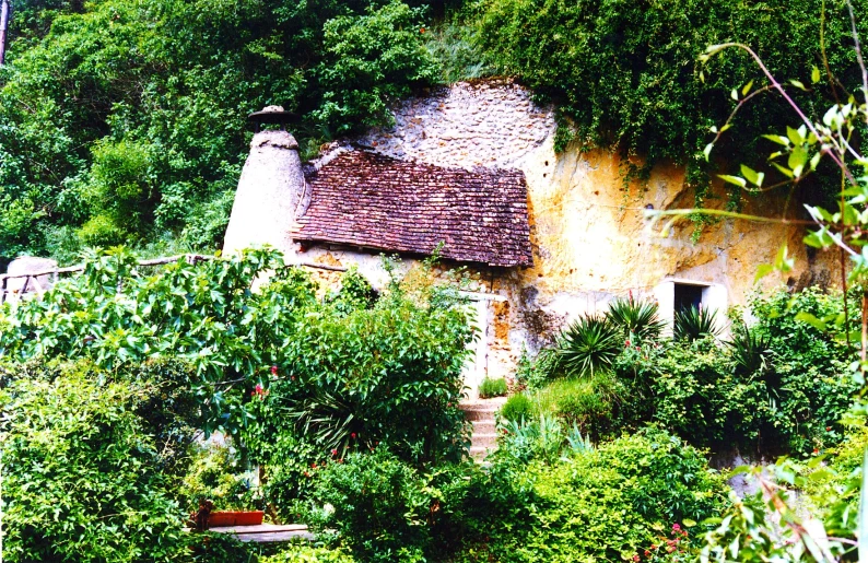 an old house is surrounded by lush green plants