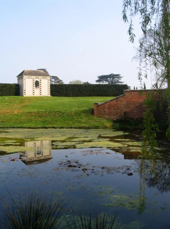 this pond is in the middle of a big grassy field