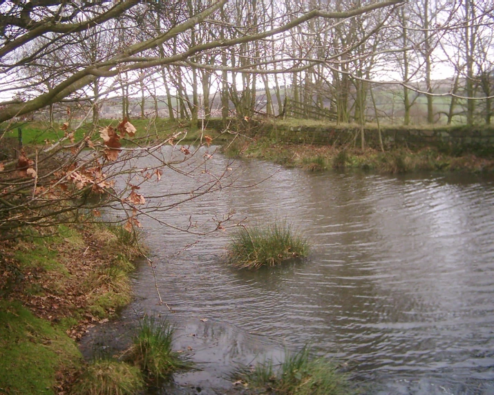 water is flowing off of a small creek