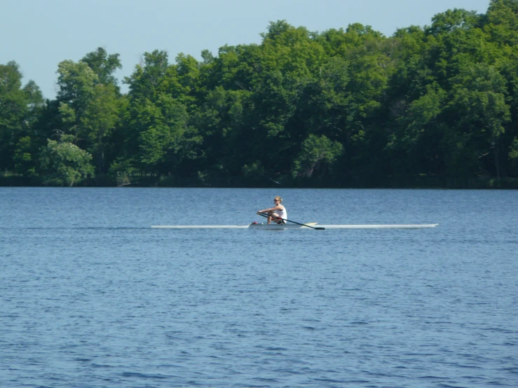 person in a boat paddling the waters by some trees