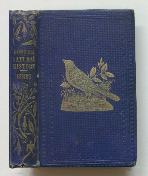 a book cover that has a picture of a bird on it